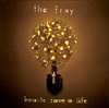 The Fray: How to save a Life