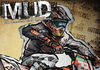 Namco distribuir MUD FIM Motocross World Championship el 17 de Abril